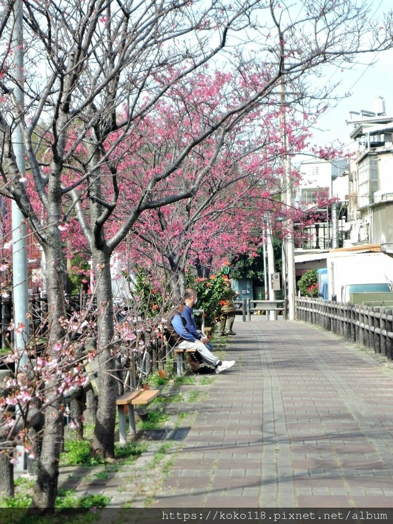 110.2.10 東山濕地生態教學公園外-東南街圳溝1.JPG