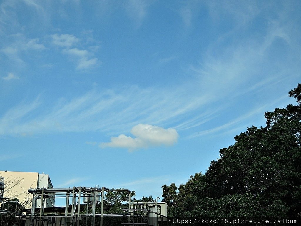 110.11.14 陽明交通大學博愛校區外-汀甫圳-天空3.JPG
