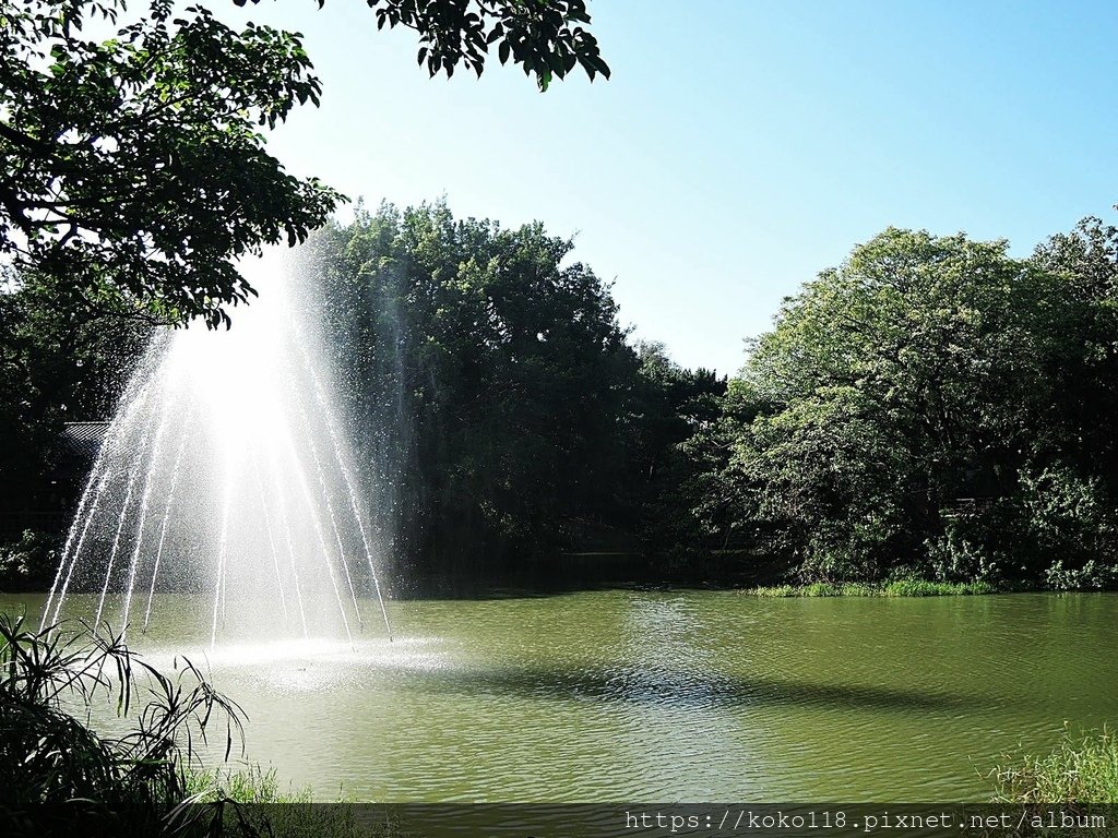 111.10.27 新竹公園-麗池.JPG