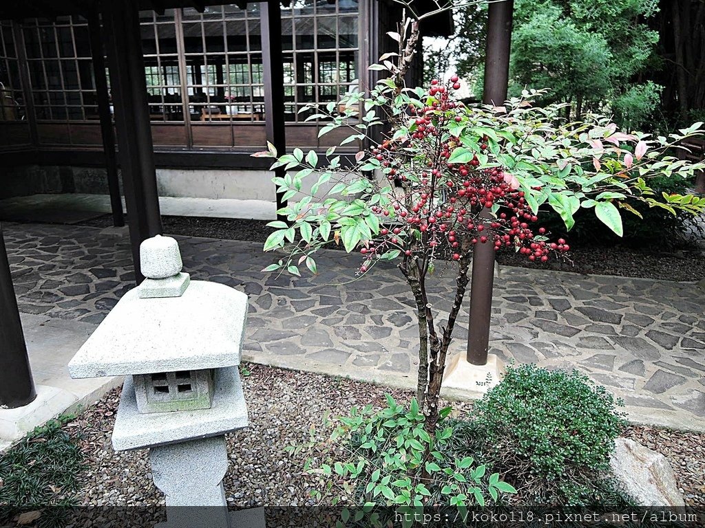 112.1.10 新竹公園-湖畔料亭,南天竹.JPG
