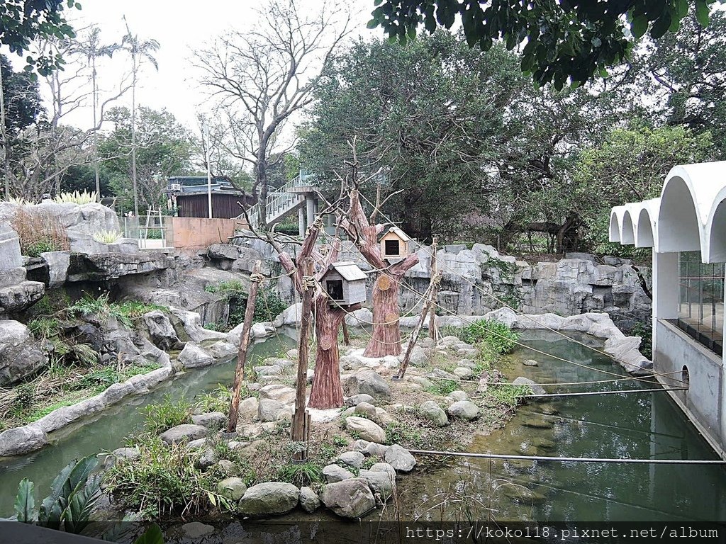 112.1.26 新竹動物園-灰長臂猿區2.JPG