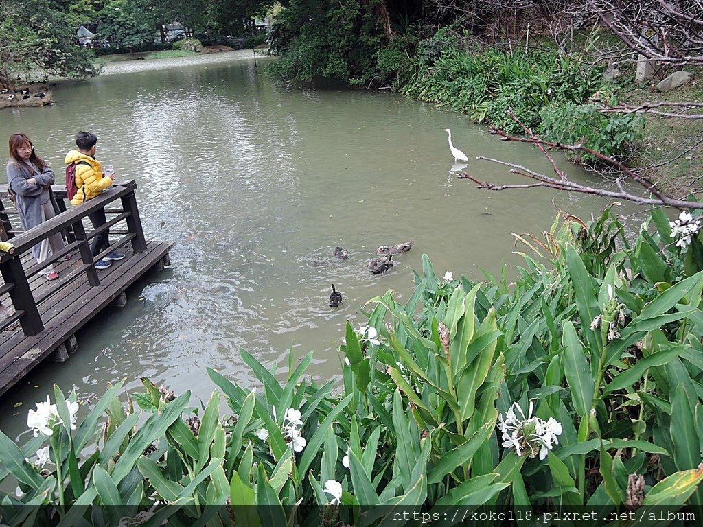 112.12.16 新竹公園-麗池.JPG