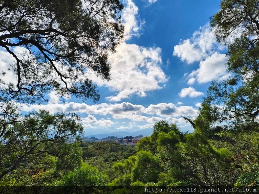 113.12.10 十八尖山-天空3.jpg