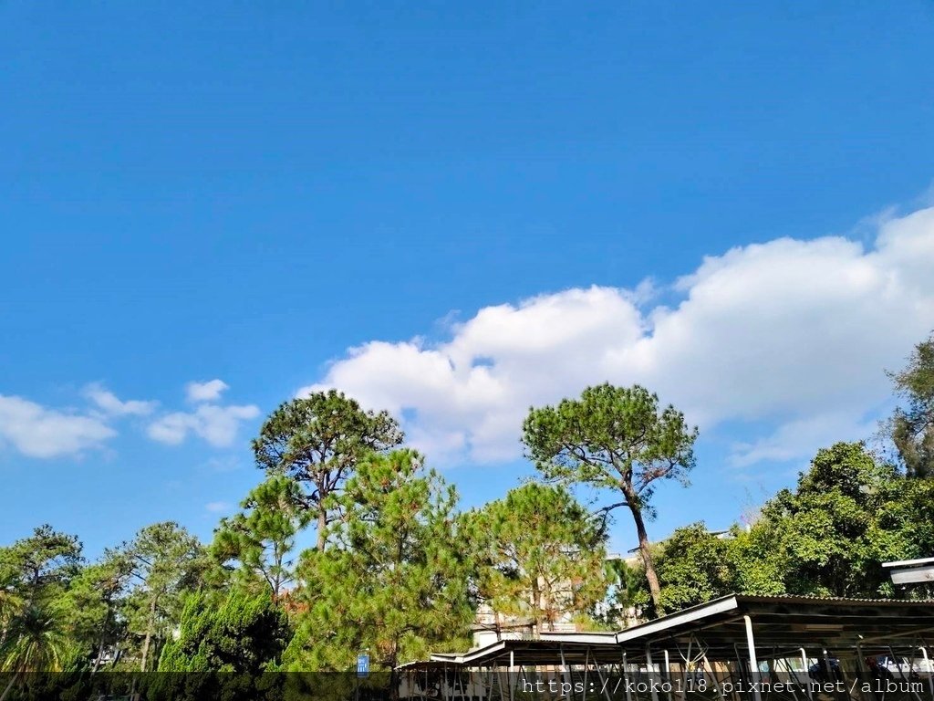 113.12.28 陽明交通大學博愛校區-天空.jpg