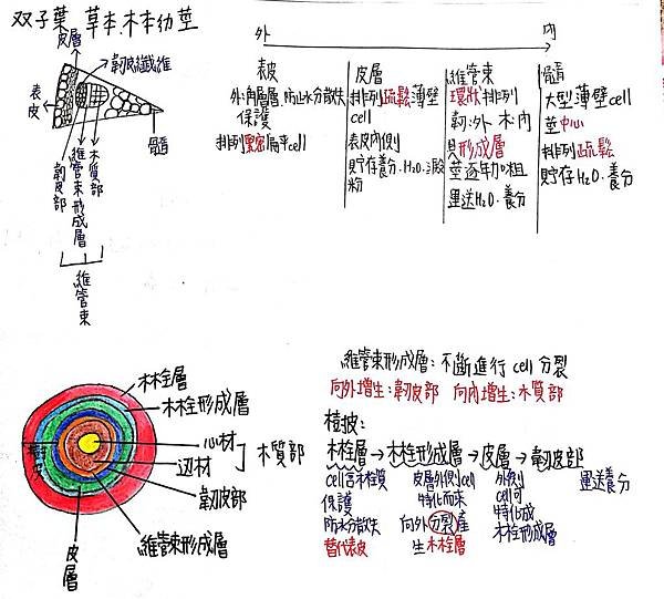 新建檔案 2019-08-29 11.02.49_1.jpg