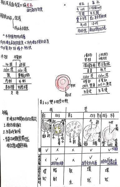 新建檔案 2019-08-29 11.02.49_2.jpg