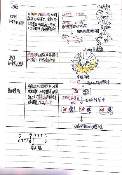 新建檔案 2019-11-13 22.01.32_3.jpg