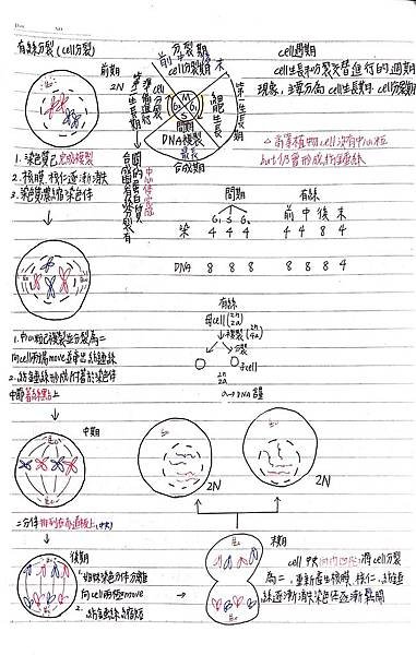 新建檔案 2020-02-05 23.02.33_3.jpg