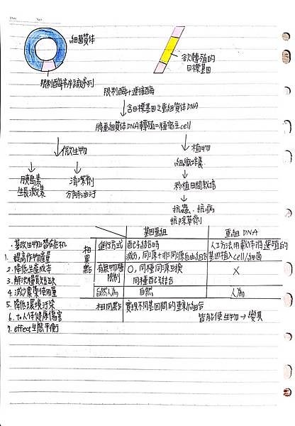 新建檔案 2020-02-13 20.56.15_1.jpg