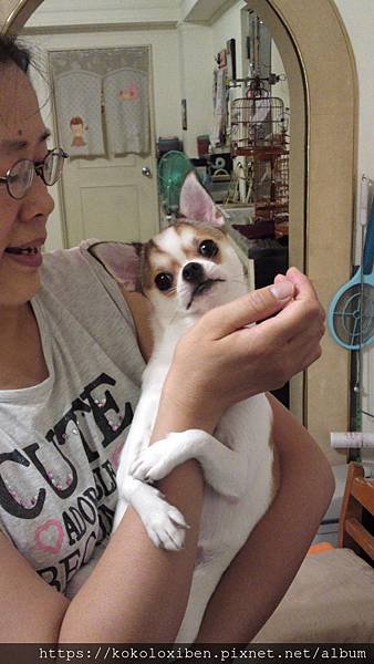 20110911987.JPG