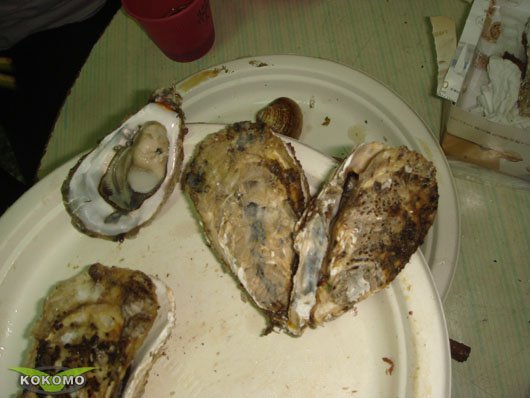 DSC07260.jpg