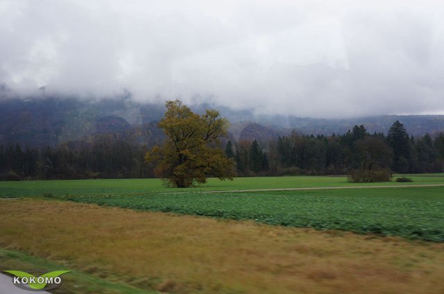 DSC07761.jpg