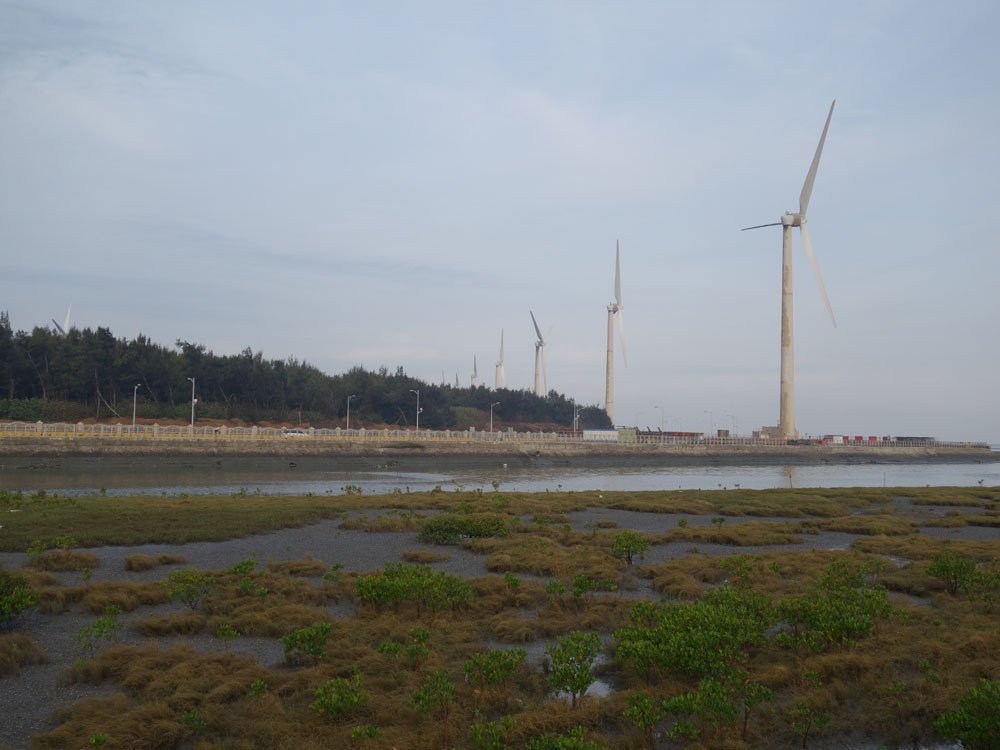 20141026DSC00508.jpg