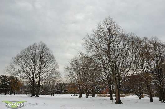 DSC_7895.jpg