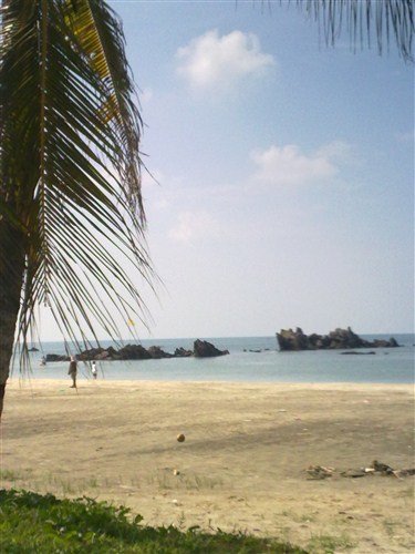 06062010065_副本.jpg
