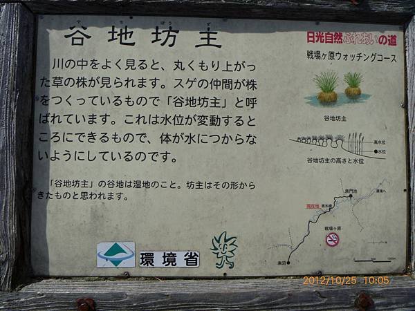 P1090505