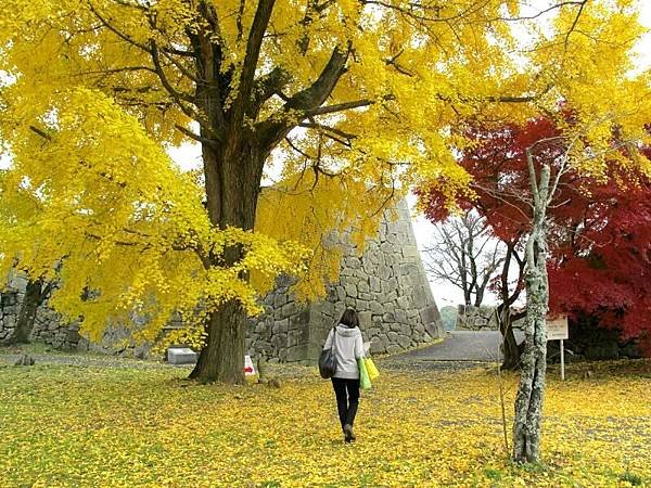 岡山県津山城紅葉.jpg