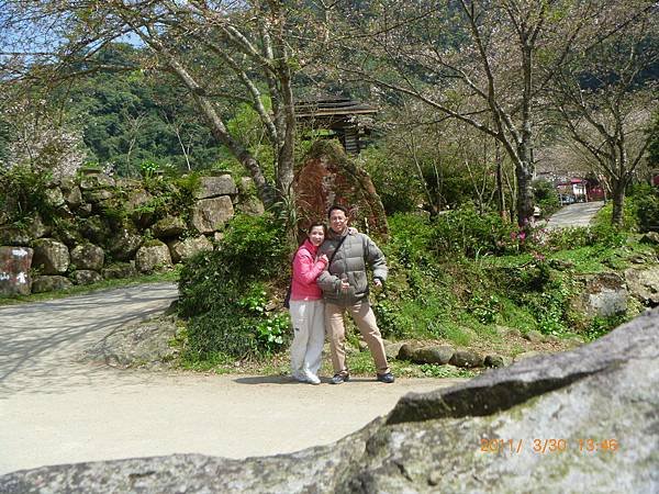 南庄高山青農場P1020219.JPG