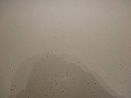 DSC00495.JPG