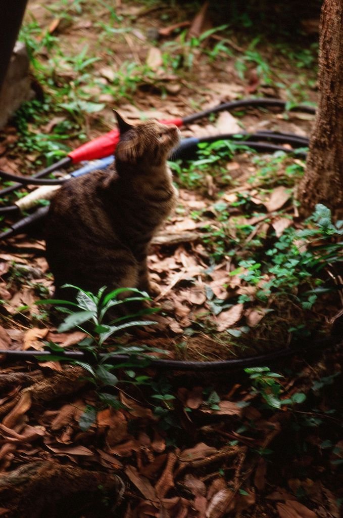 tn_000054960010.jpg
