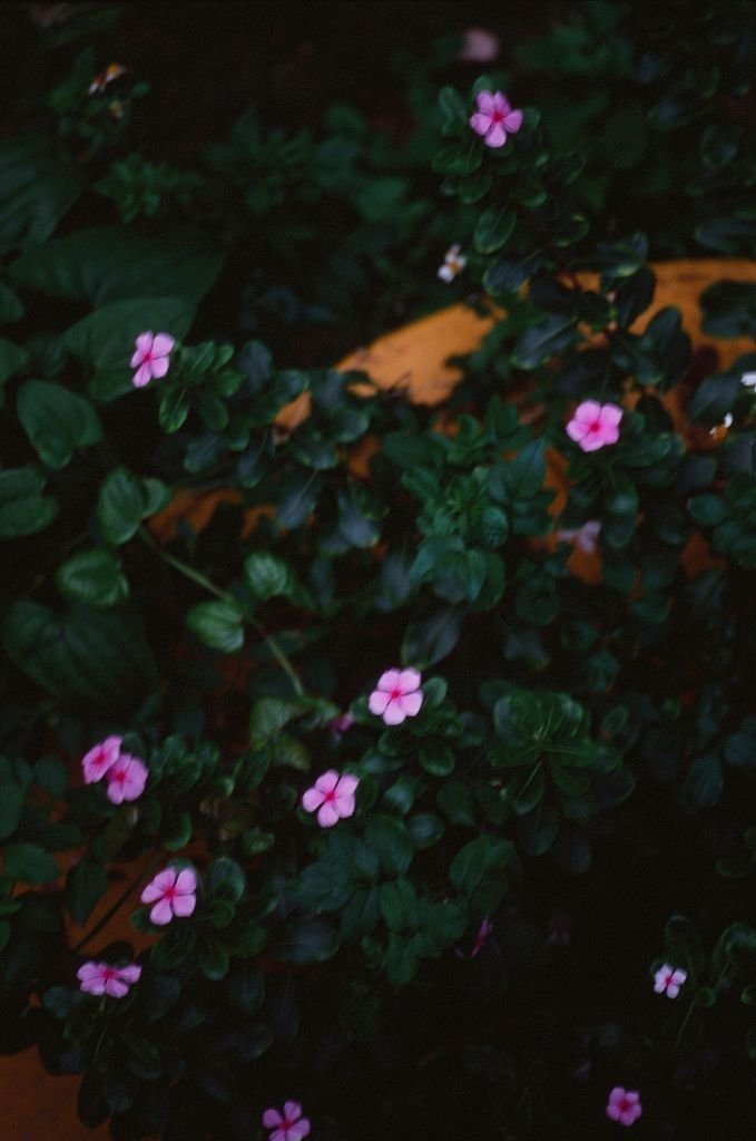 tn_000054960019.jpg
