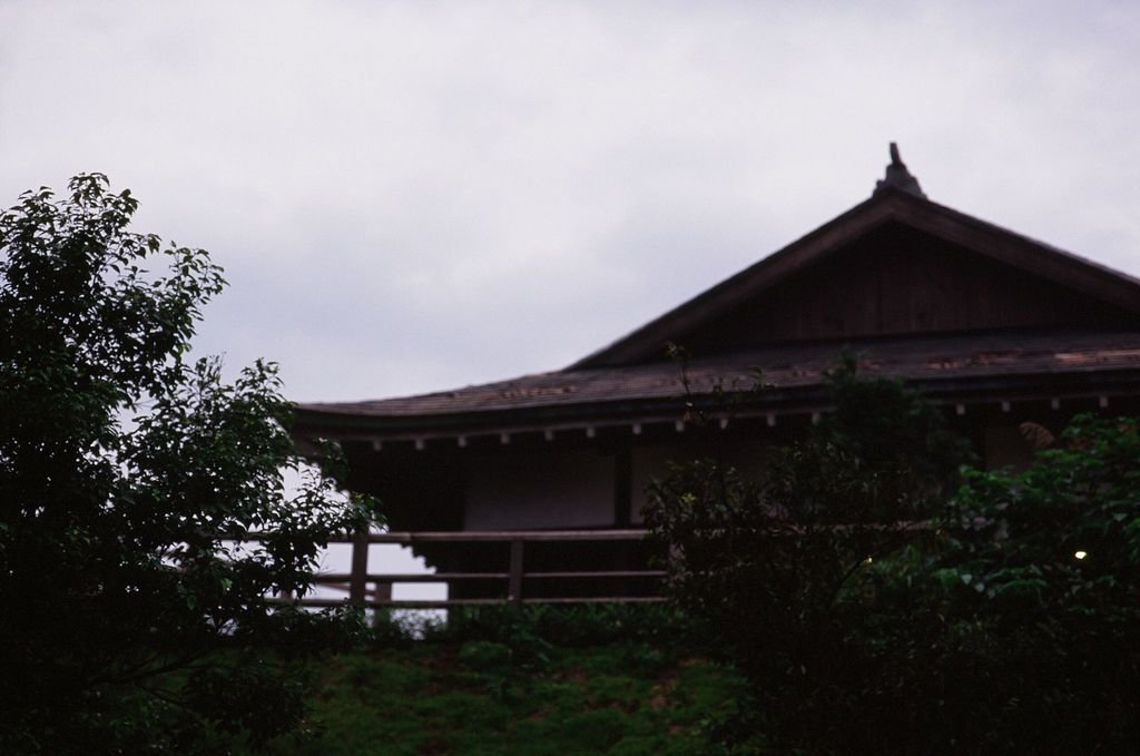 tn_000054960035.jpg