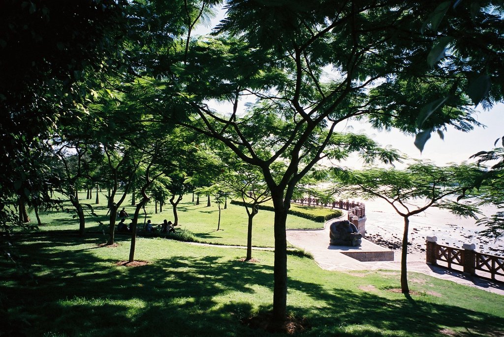 F1000024