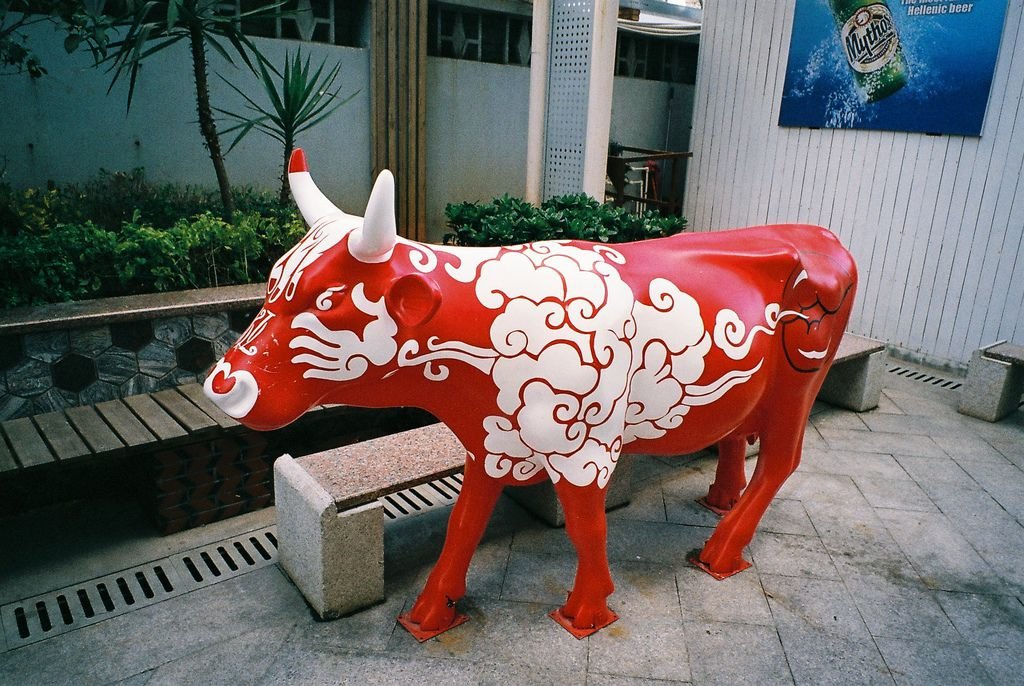 F1000024