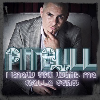 pitbulliknowyouwantme3.jpg