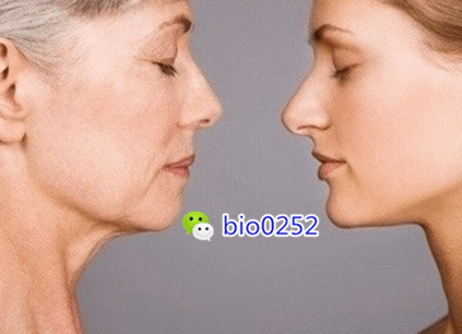 QQ截图20161212113513_副本.png