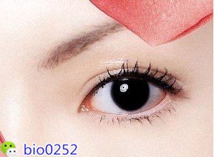 27_111022155050_1_副本.jpg
