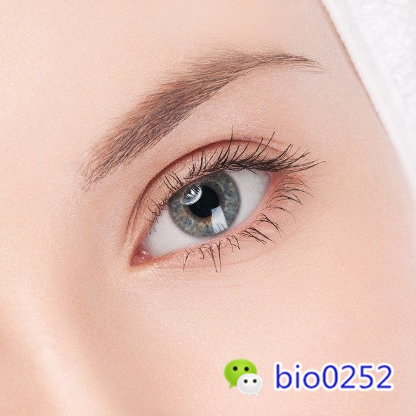006CdbnPzy78eJbETGm6e%26;690.jpg