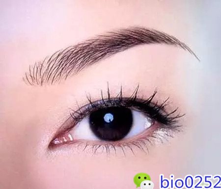 006CdbnPzy78B1dZwb93b%26;690.jpg