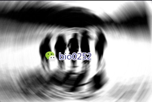 006p9jLGzy78YF3W7rs02%26;690.jpg