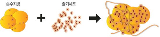 006p9jd5zy7hKu5He0575%26;690.jpg