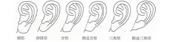 15101560031.111256.jpg