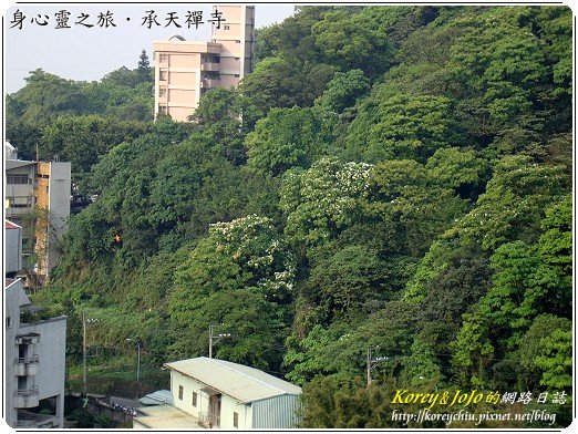 Taiwan-travel-06-26.jpg