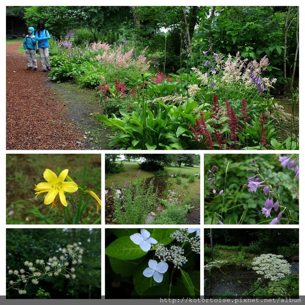 [日本北海道] 六花之森 - 氣質滿分