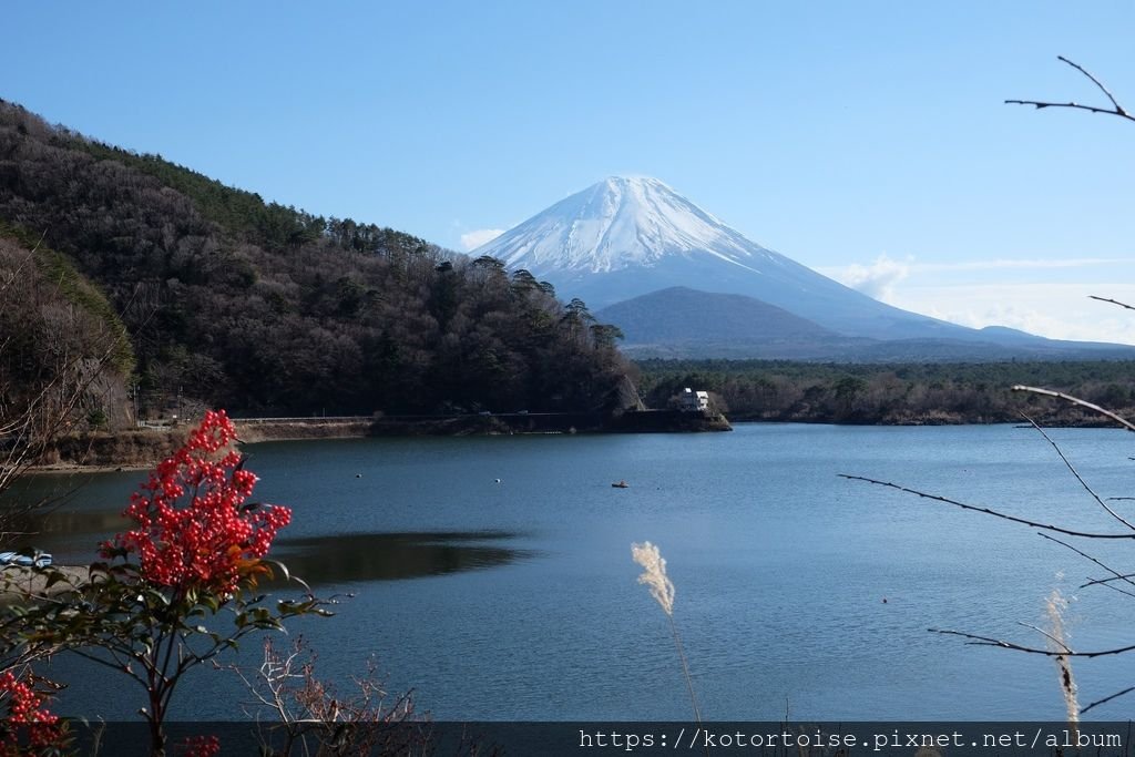 [日本東京] 精進湖 -&gt; 本栖湖 -&gt; 西湖 之富士山看到