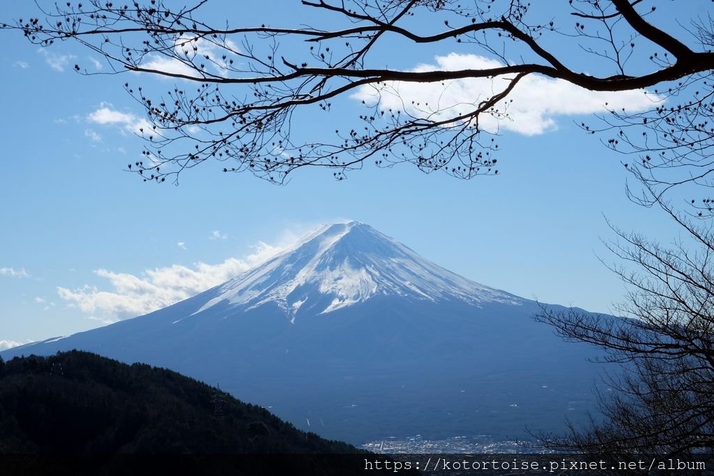 [日本東京] 御坂峠天下茶屋 - 高處賞富士山美景