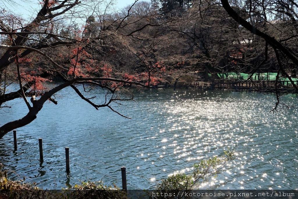 [日本東京] 吉祥寺 - 東京最宜居之處