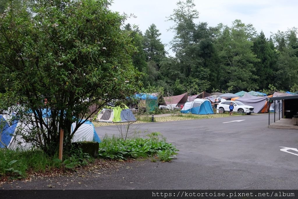 [台灣/南投] 2019.6 住在巴士裡 - 翠峰農場卡爾小