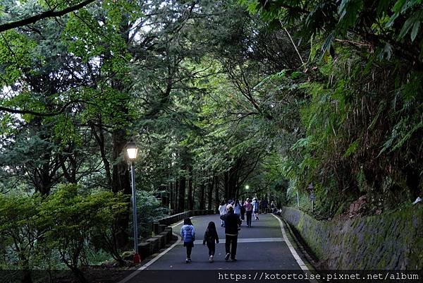 [台灣/嘉義] 2023.8 好久不見的阿里山之二: 祝山日
