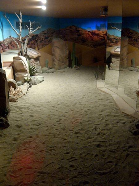 IMG-20111204-00123.jpg