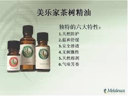 Image result for 美乐家茶树精油