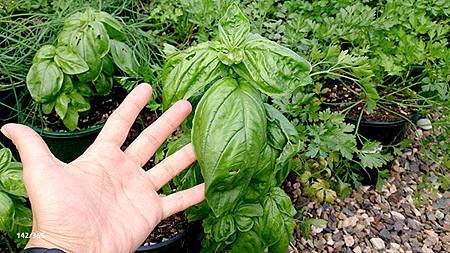 20140522.JPG