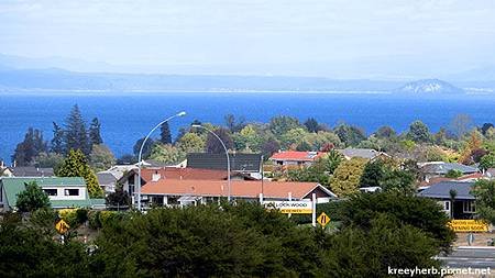 Taupo