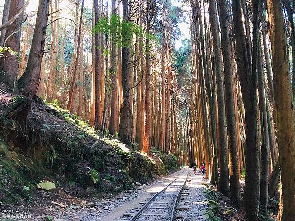 202011特富野古道-08.jpg