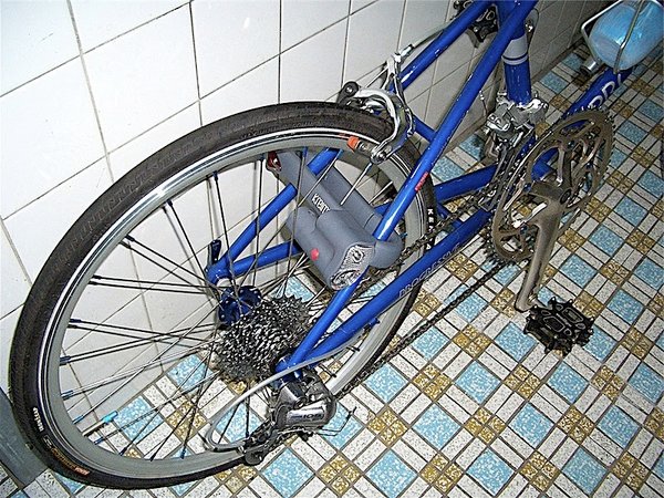 40.jpg