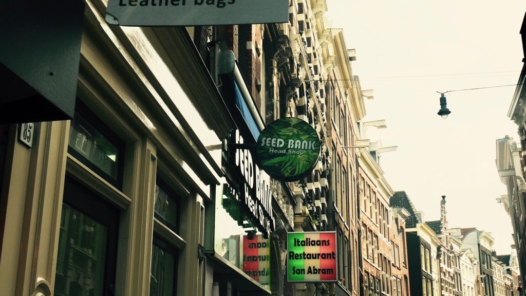 P1080054.jpg